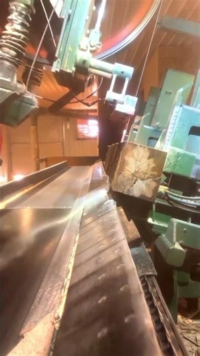 Double Blades Sawmill #loglumber #sawblade