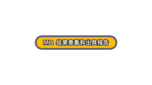 MQ软件 结果查看与报告出具