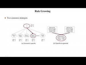 Rule-based Classifiers
