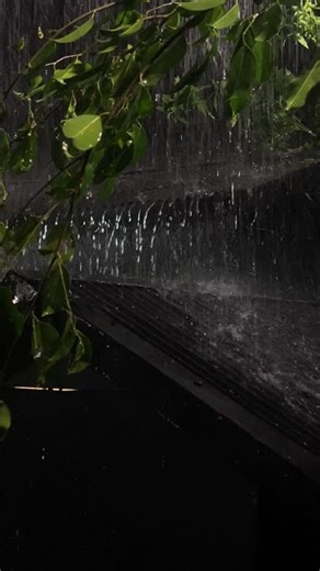 Heavy rain on tin roof #rainsounds #heavyrain