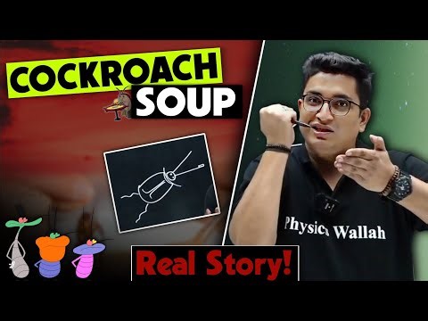 आधा Cockroach खा गया 🤯|| Cockroach 🪳 वाला Soup 🤣| Sachin Sir Real College Story || PhysicsWallah