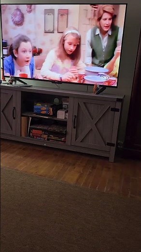 Roseanne theme song 🎵 season 3