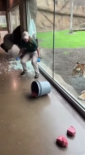 #OceanClips #DeepOcean #DangerousSea #MarineLife