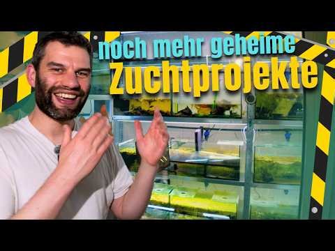 New BREEDING ROOM 🚧 Exclusive insight into "THE ROOM"