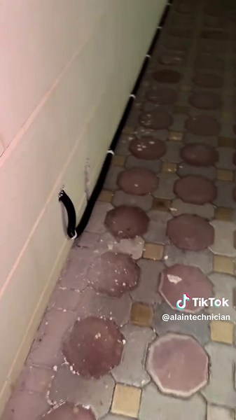 Top Technical Skills Every Technician Should Master