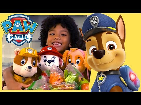 The Pups Have the Perfect Picnic | PAW Patrol | Toy Play for Kids