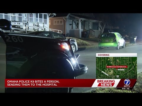 1 seriously injured after Omaha police K-9 bite