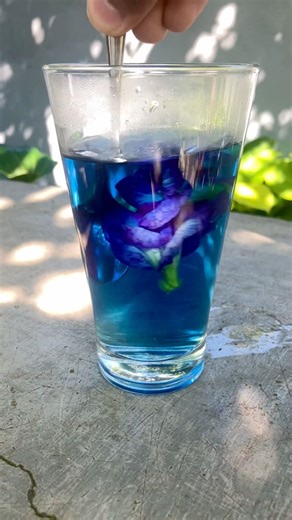 Blue tea recipe #bluepea #butterflypea 🤤