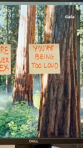 How to repel Mercury Retrograde: Balance your energy and stream Gaia. 🪷⁠ #Gaia #MercuryRetrograde #Astrology #Horoscope⁠ ⁠ 🌟 Comment 'meditation' to receive a link to a free meditation practice on Gaia.com 🌟 | Gaia