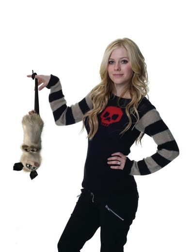 gloom on Instagram: "A photoshoot of Avril Lavigne posing with Heather the opposum, a character that she voiced for the DreamWorks film Over the Hedge (2006) Want more like this? Follow @gloom.qc 🌺"