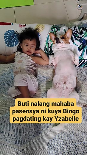 Buti nalang mahaba pasensya ni kuya Bingo pagdating kay Yzabelle #bingoandtatay #reelsviralシ #doglover | Bingo and Tatay