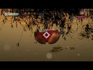 Adiós Beatriz. Ricardo Cacho Barchuk. Chamamé 2.0