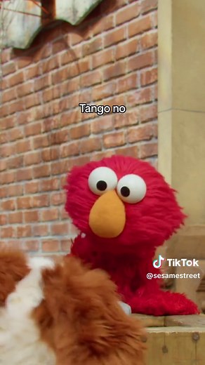 Elmo and Tango's Adventure with Rocco the Rock