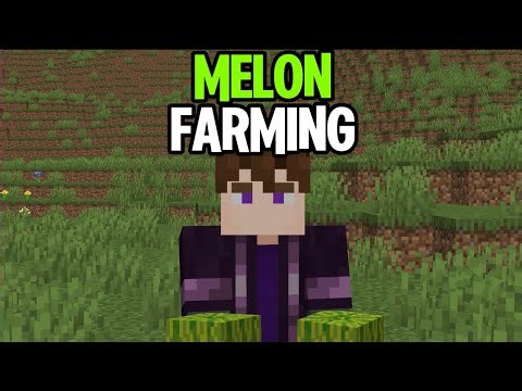 Minecraft MELON FARMING