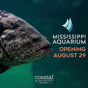 Discover a world of natural wonders, right in your back yard. Mississippi Aquarium opens August 29! 🐟 | Coastal Mississippi