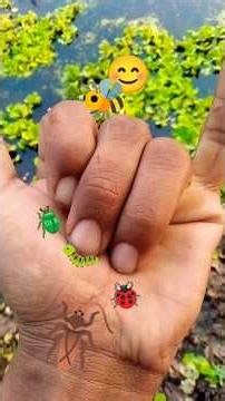 i love the brown one #anyuniqueanimals #beetle #nature #wildlife