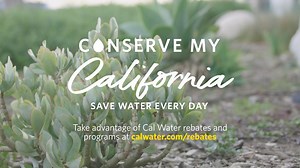 88K views · 492 reactions | Save water this summer and receive up to a $4,500 rebate with our Lawn-to-Garden program! Make an impactful change and create your water-wise landscape today.  Cal Water customers can learn more at: calwater.com/rebates #ConserveMyCalifornia #Rebates | California Water Service | Facebook
