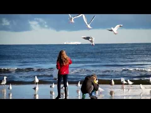 Mecklenburg Vorpommern Lied von Heinz Erich Karallus