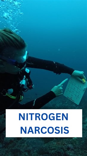 Mark and Holly 🐠 Blue Horizon Diving on Instagram: "How does nitrogen narcosis affect scuba divers? 🤿 🧪 When we go deeper, pressure increases. This causes nitrogen to become more soluble and have an anaesthetic effect on the brain. This is mostly noticeable below 30 meters through confusion, euphoria, drowsiness, impaired judgment and difficulty concentrating. It’s not noticeable in every diver but most tasks will be completed more slowly at depth. Divers call it getting ‘narced’. Have you fe