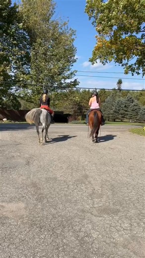 Emily Mitchell on Reels