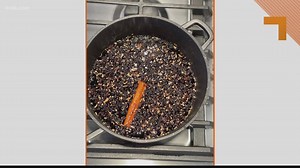 Recipe of the Day: Elderberry Elixir