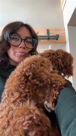 Secret account (@bella_staker)’s videos with STAY THE NIGHT xxtristanxo - xxtristanxo