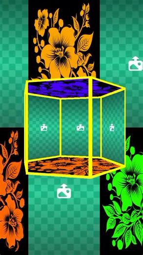 Poor Boyfriend Woo on TikTok