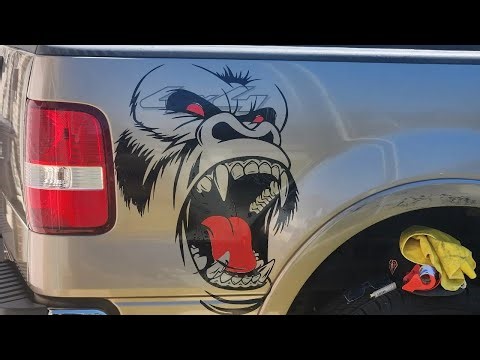 Why are Y'all so scaed of this bitch? HUH??