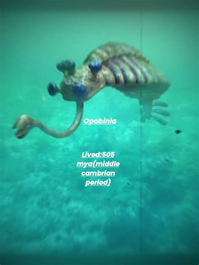 strangest prehistoric creatures..