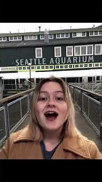 Behind The Green Screen Magic #EffectReveal