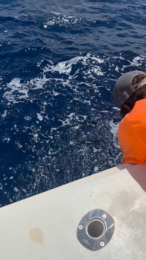 First blue marlin of the season is a fact. Who is next to catch one with us. Tag your friends and fishing buddies | Bonaire Big Game Fishing