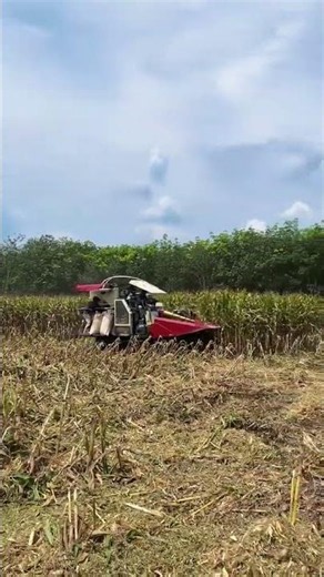 MAXXI || #maxxibimoterbaru #combineharvester #maxxibimo102standar #automobile #combinepadi #farming