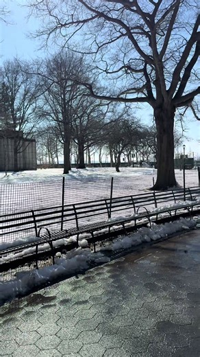 A Day in the Life of an NYC Office Worker