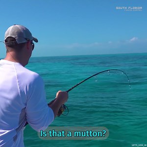 71K views · 1K reactions | On a MISSION for Monster Mutton Snapper | South Florida Fishing Channel | Facebook
