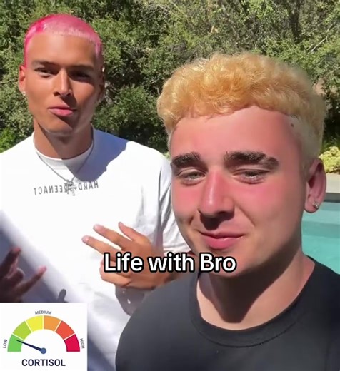 Cortisol Levels: Life With Your Bro