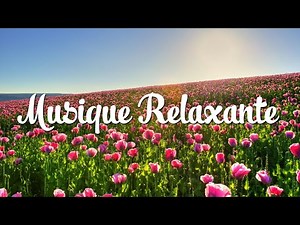 Musique Relaxante - Ambiance relaxante - Musique Relaxante avec des Piano - Belle Musique au Piano