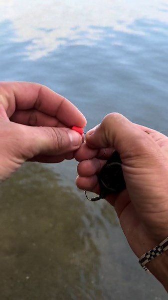 Fishing Techniques That Work How to Use Bait Effectively