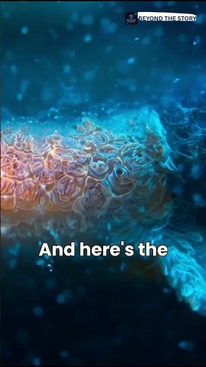 How Electric Eels Create Electricity. #ElectricEel