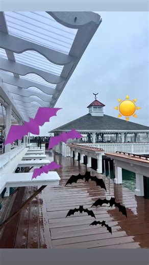 12K views · 128 reactions | The ominous weather is giving  Halloween Vibes…. But we hear the sun is set to shine for happy hour! Come enjoy the 3rd to last Thursday of the 2025 season  | M.R. Ducks | Facebook