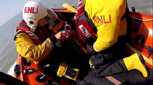 Amazing dog rescue stories