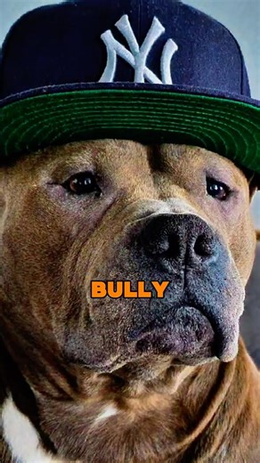 50 Cent WAS A Bully ⁉️