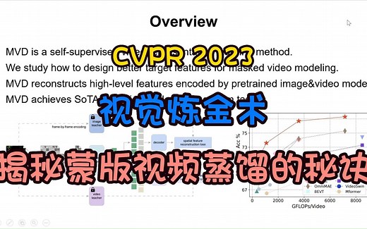 CVPR 2023【已开源】| Masked Video Distillation：视觉炼金术：揭秘蒙版视频蒸馏的秘诀！