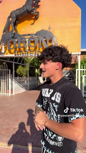 Discover Alex Chino: His Journey and Highlights