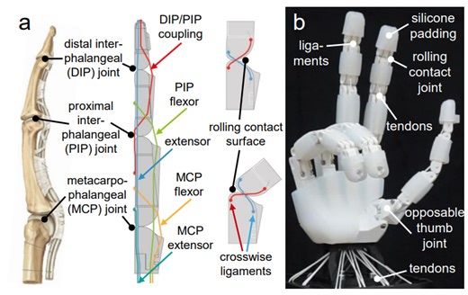 ETH Zurich 3D Prints Tendon-Driven Robotic Hand - 3D Printing