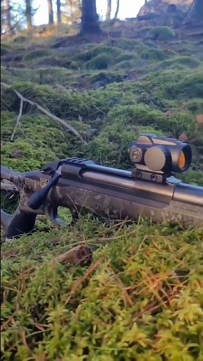 Burris RT-1 Sako S20