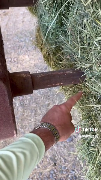 Bales_hay (@bales_hay)’s videos with original sound - Bales_hay