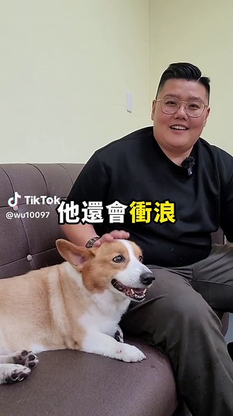 柯基衝浪新鮮出爐！台中寵物食品代工精心呵護的汪星人