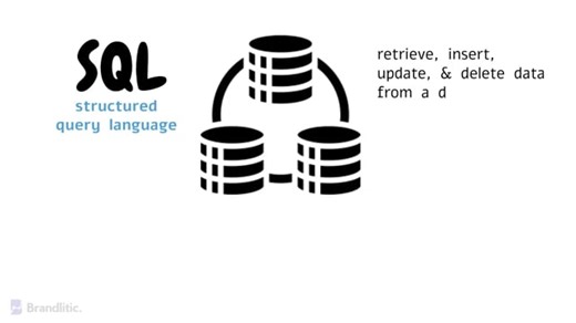 Sql Server Lecture-2