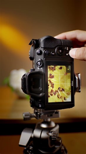 This is why your macro shots are always soft — and how to fix it with focus stacking.