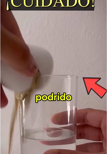 Innovative Egg Tricks and Demonstrations Explained